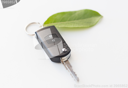 Image of close up of car key and green leaf