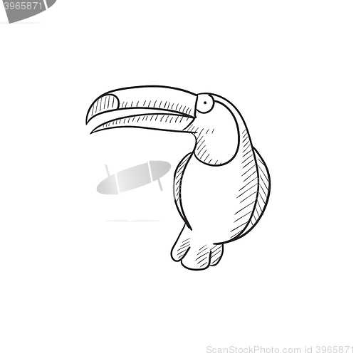 Image of Toucan sketch icon.