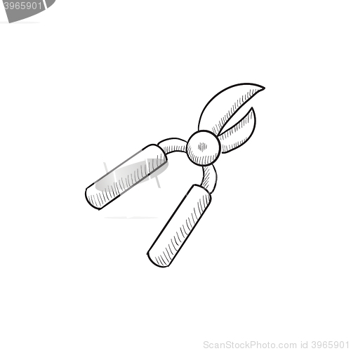 Image of Pruner sketch icon.