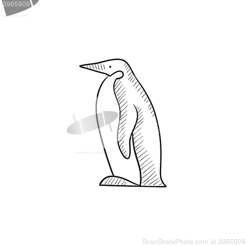 Image of Penguin sketch icon.