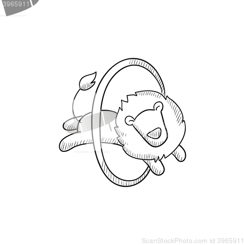 Image of Lion jumping through ring sketch icon.