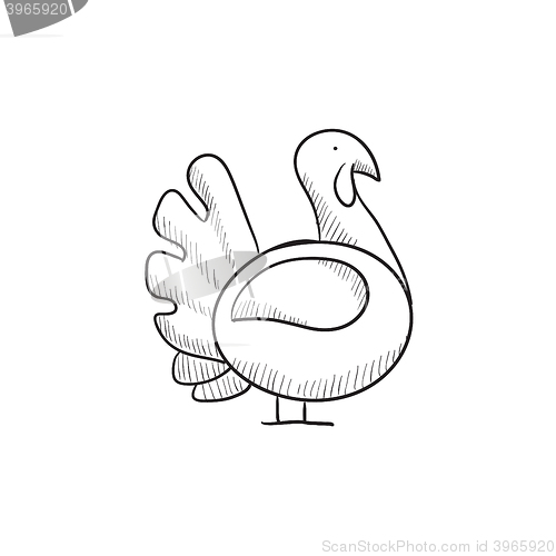 Image of Turkey sketch icon.