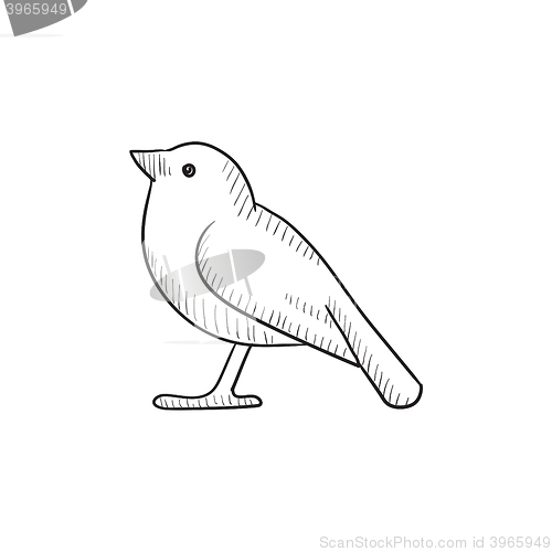 Image of Bird sketch icon.