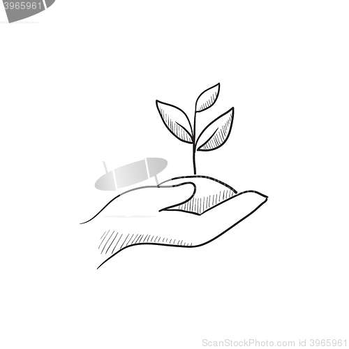 Image of Hands holding seedling in soil sketch icon.