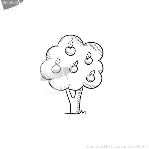 Image of Fruit tree sketch icon.