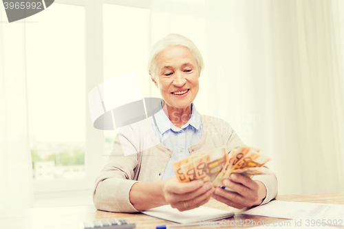 Image of senior woman with money and papers at home