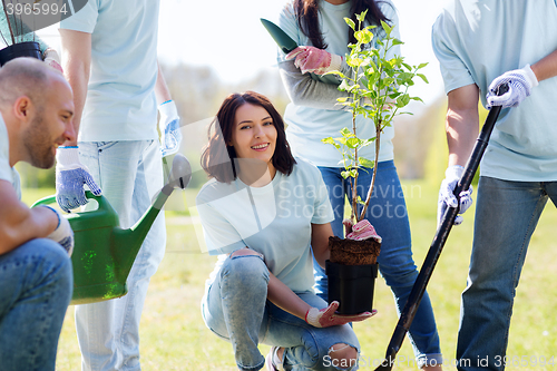 Image of group of volunteers planting tree in park