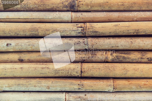 Image of bamboo cane wall texture