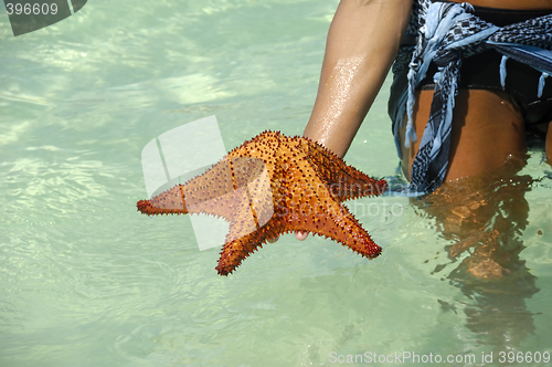 Image of Woman and red starfish