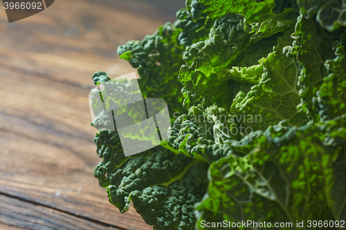 Image of Savoy cabbage super food close up