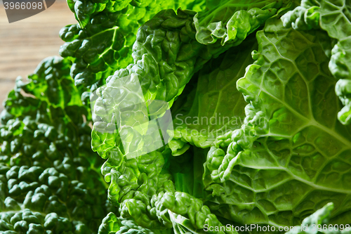 Image of Savoy cabbage texture