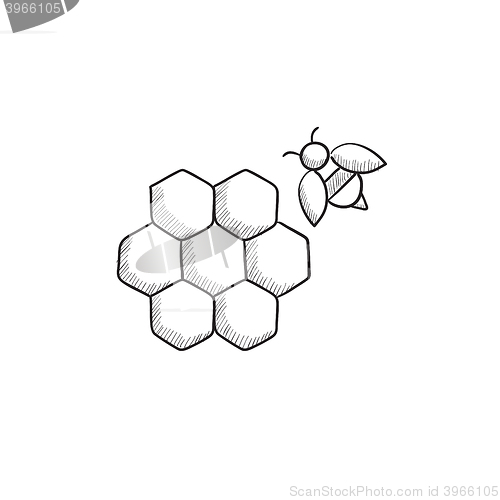 Image of Honeycomb and bee sketch icon.