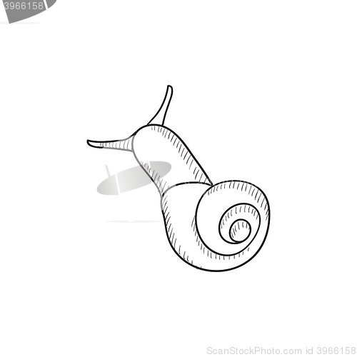 Image of Snail sketch icon.