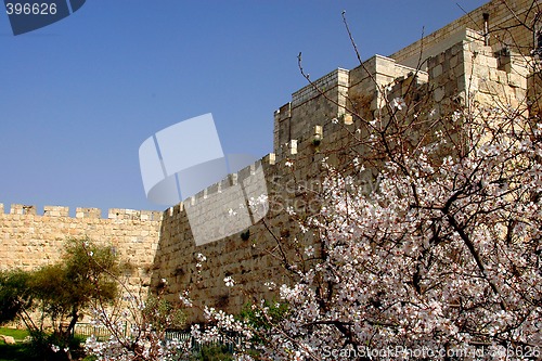 Image of Spring In Jerusalem