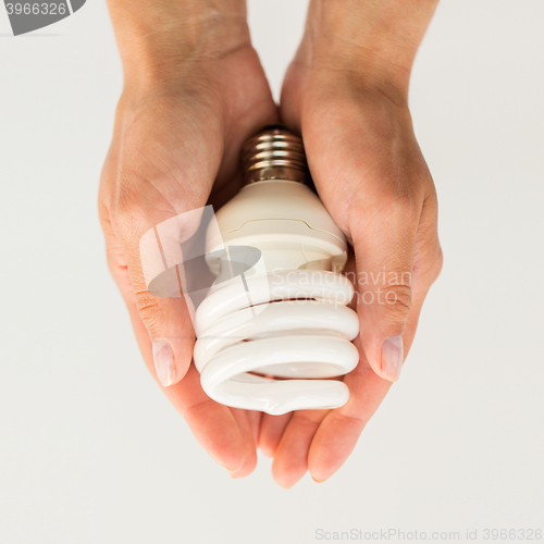 Image of close up of hands holding energy saving lightbulb