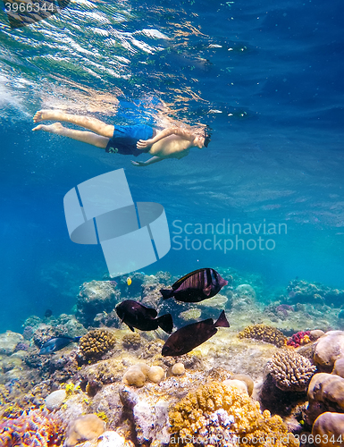 Image of Underwater shoot of a young boy snorkeling in red sea