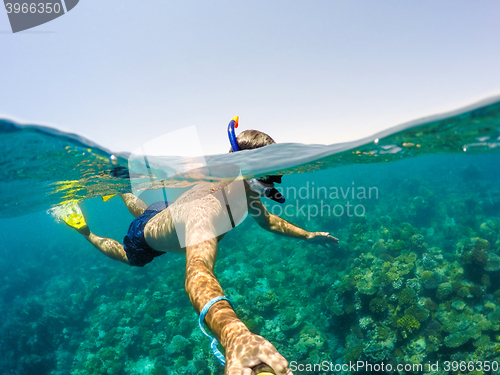 Image of Snorkel swims in shallow water, Red Sea, Egypt