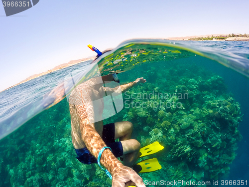 Image of Snorkel swims in shallow water, Red Sea, Egypt