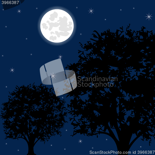 Image of Moon night and tree