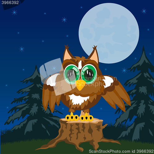 Image of Owl in the night