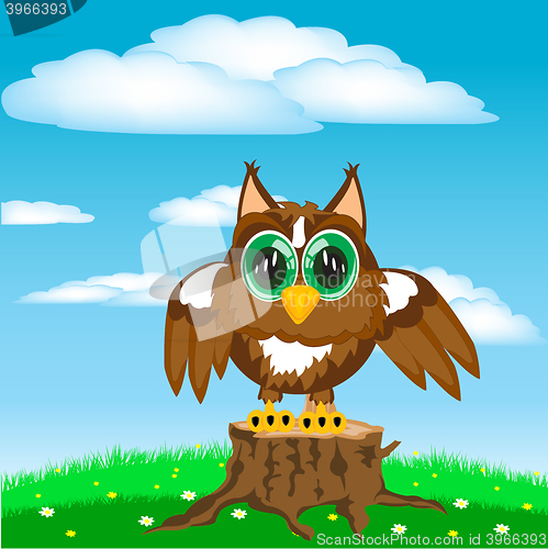 Image of Owl on glade