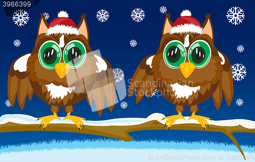 Image of Two owls on tree