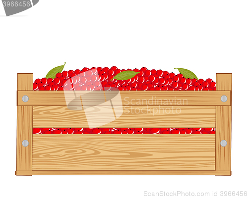 Image of Box with red berry