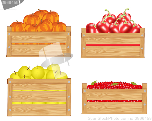 Image of Fruits in box