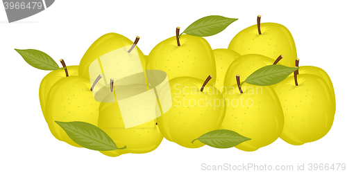 Image of Small circle yellow apple