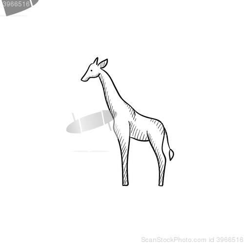 Image of Giraffe sketch icon.