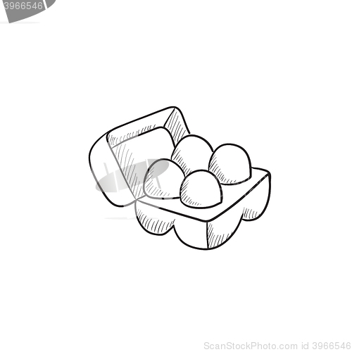 Image of Eggs in carton package sketch icon.
