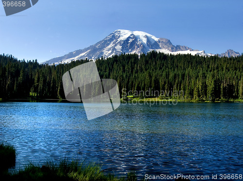 Image of Mt. Rainier