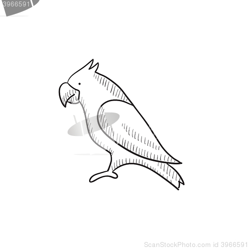 Image of Parrot sketch icon.