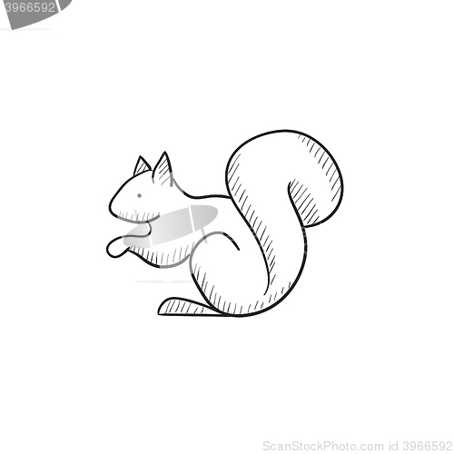 Image of Squirrel sketch icon.