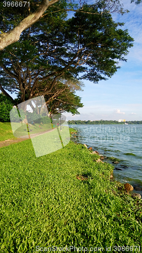 Image of Kranji reservoir in Singapore