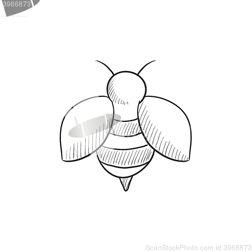 Image of Bee sketch icon.