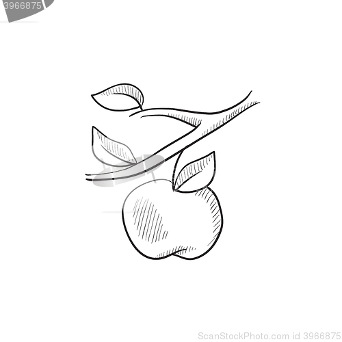 Image of Apple harvest sketch icon.