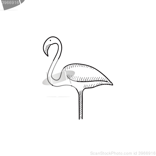 Image of Flamingo sketch icon.