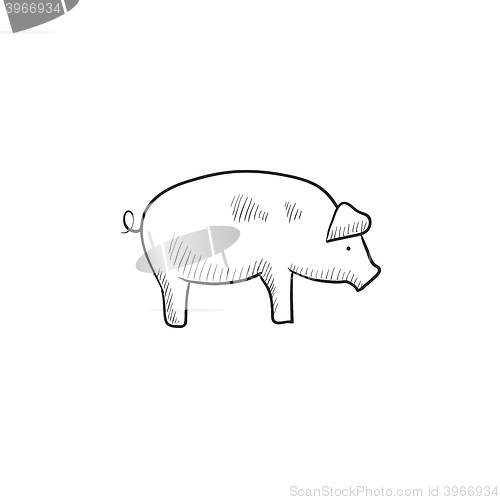 Image of Pig sketch icon.