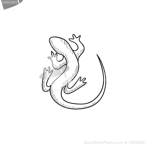 Image of Lizard sketch icon.