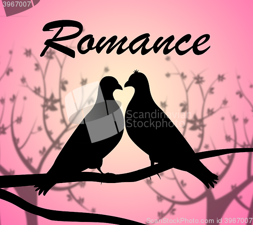 Image of Romance Doves Shows Love Birds And Adoration