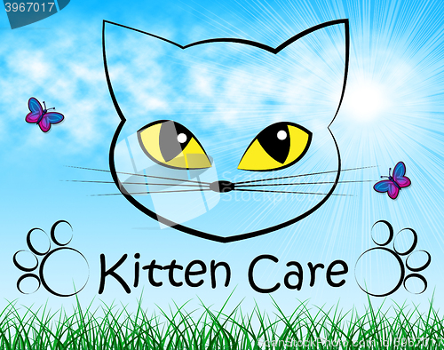 Image of Kitten Care Means Look After And Cat