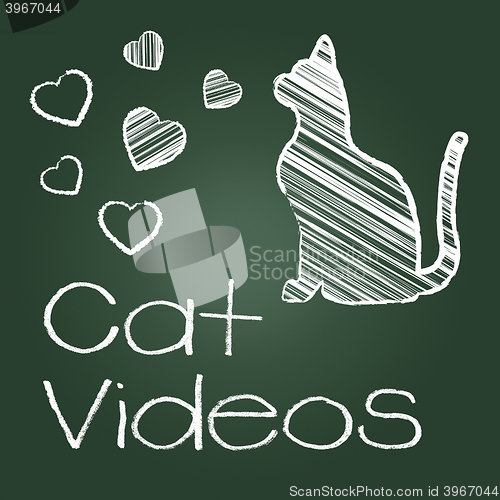 Image of Cat Videos Represents Audio Visual And Cats
