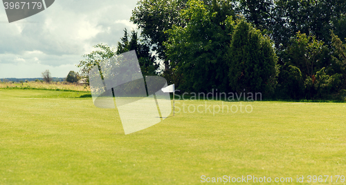 Image of flag mark on golf field