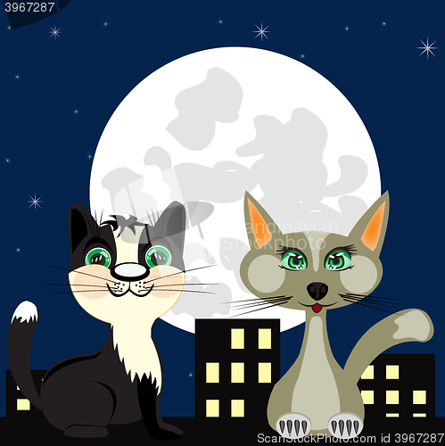 Image of Two cats on roof