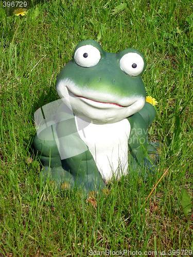 Image of Frog