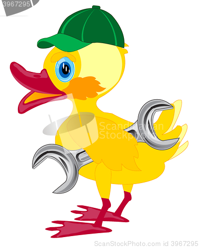 Image of Duckling in cap and with key