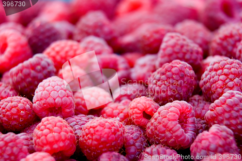 Image of Raspberry background