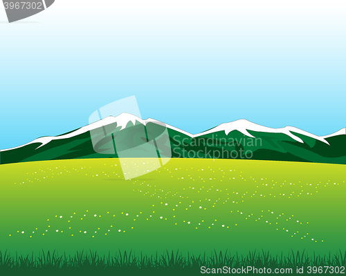 Image of Glade with flower in mountain