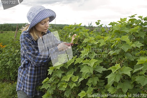 Image of Farmer